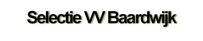 Selectie VV Baardwijk
